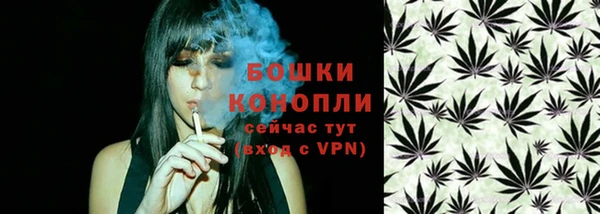 дурь Няндома