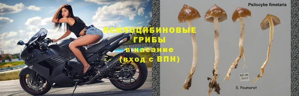 дурь Няндома