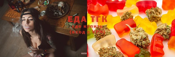 прущие грибы Барнаул
