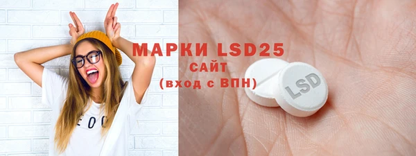 дурь Няндома