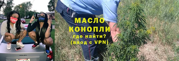 дурь Няндома