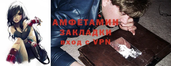 дурь Няндома