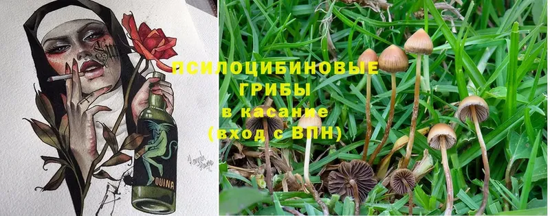 Псилоцибиновые грибы MAGIC MUSHROOMS  Ливны 