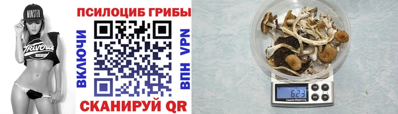 Галлюциногенные грибы мухоморы  где можно купить   Ливны 