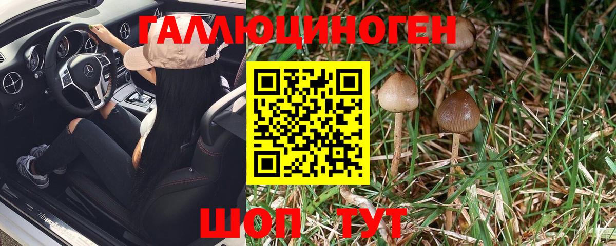 закладки  Галлюциногенные грибы Magic Shrooms  Вход с VPN  Ливны 